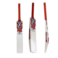 Bat